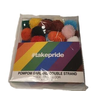 6 ft (#takepride) PomPom Double Strand Wall Decor‎